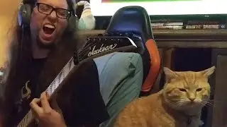 A chonky song for the chonker (=ಠᆽಠ=)