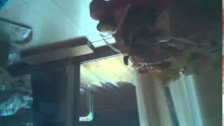time lapse video generated by AWS Lambda