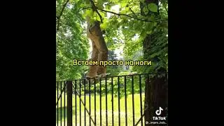 щербаков😂