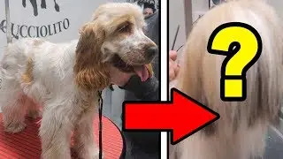VERA SI TRASFORMA!! (Vera-episodio 8)