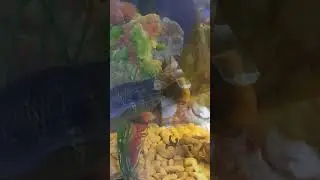 Валеро-заменитель🤔 будет Валерон 😃🤣👍👍👍👀👈