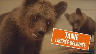 TANIE - LIBÉRÉE DÉLIVRÉE : Un Futur Retour à la Vie Sauvage 🌲🐻💖