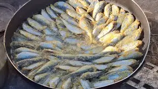 Olta balığı istavrit salata‼️‼️