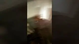 Тирасполь 21.02.2017