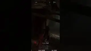 Когда очень повезло в Скайрим реквием. 