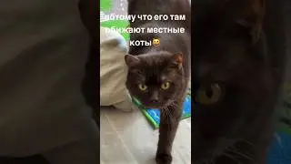 Гроза района😆 