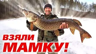 Trophy pike on tip-ups! 3 days in the taiga. Underwater filming. How fishermen spend their usual ...