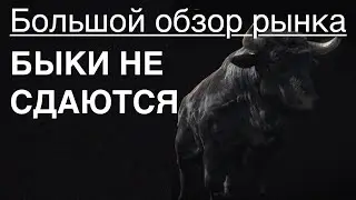 Быки подкрались незаметно! Большой обзор рынка /// 03\12\2023