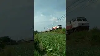 CC 203 95 02 PWT KA Malioboro Ekspress #train #keretaapi #cc203 #ngadiluwih #daop7madiun
