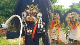 Arak-arakan Barongan Blora SARDULO SETO & Drumband Live Desa Gedongsari Blora