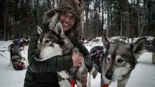 BUCKET LIST Dogsledding Experience in Ontario Canada