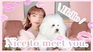 【自己紹介】