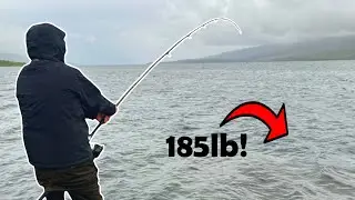 The BIGGEST Fish I Have Ever Caught!! Shore Fishing In Scotland