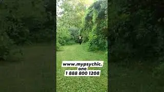 www.mypsychic.one