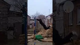 20 марта 2024 г.