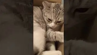 Убрал палец!