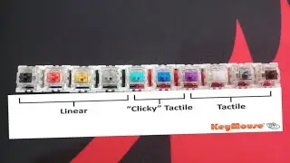 Outemu Switches Sound Test Comparison