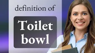 Toilet bowl — definition of TOILET BOWL