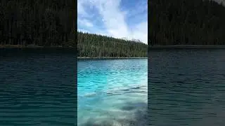 Crystal clear turquoise lake 🌲🏝️#canada #alberta #jasper #lake #nature