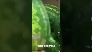 31 января 2023 г.