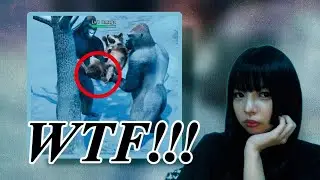 Cringe Game Ads