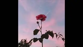 1nonly – Forever In Love | Instrumental (reprod. STORM Inc.)