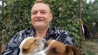 Закінчив будувати туалет з підтримкою моїх любих тваринок, навів порядок тепер все готово.