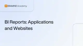 Teramind BI Reports: Application and Website Usage Insights