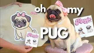 Adorable Pug EMOTIONAL Reaction to MERCH Reveal 🥹🎀