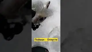 Отпускайте мелких! Пусть ещё растут) 