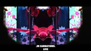 IN CARNATIONS2 EBOFCOURSE   HD 1080p