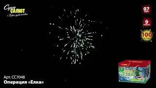 СС7048 2024