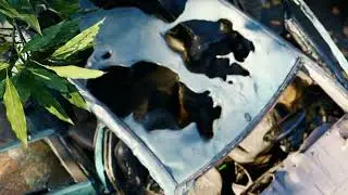 Lumion apocalypse enviroment video