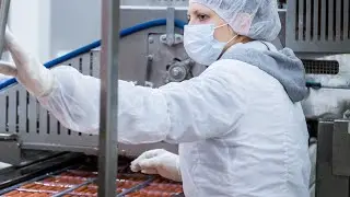 Укладчик