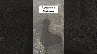 Дороги в США#дороги #сша #америка #штаты #майами #штаты #флорида #санниайлс