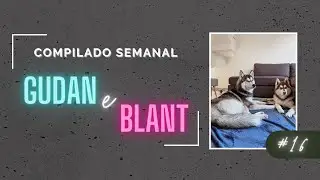 COMPILADO #16 GUDAN O HUSKY