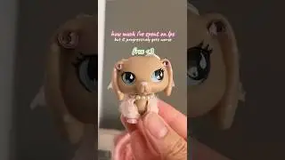 “Honey, where did all your money go?” #littlestpetshop #lps #lpscollection #lpscollector