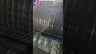 Stainless steel metal welded wire mesh for bird cage breeding nets #factory #wiremesh#welding