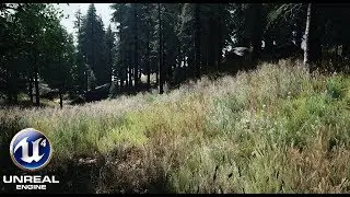 Unreal Engine 4 - The Forest / Photorealistic Wild Meadow