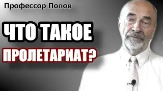 Пролетариат: применение понятия. Профессор Попов