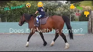The song that goes with every horse's canter????? + IRL REVEAL!!