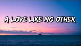 A Love Like No Other -  A Song About True Love, Longing (Lyrics)