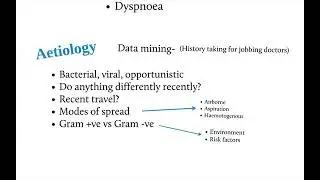 Respiratory - pneumonia