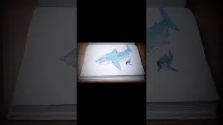 Как нарисовать МЕГАЛОДОНА (интересный факт)