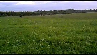 mezacuka seski