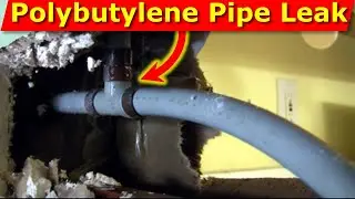 How Polybutylene Piping (Grey Pipes) Caused Plumbing Leaks, Mold Inside Wall