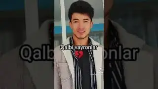 💔🥀QALBIM VAYRONA 😏🥀