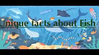 Underwater Marvels: Fish with Mind-Blowing Abilities!