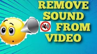 How To Remove Sound(audio) from A Video in VSDC FREE VIDEO EDITOR