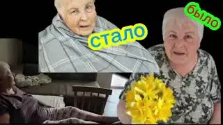 шиндра мындра на Дзен новый обзор